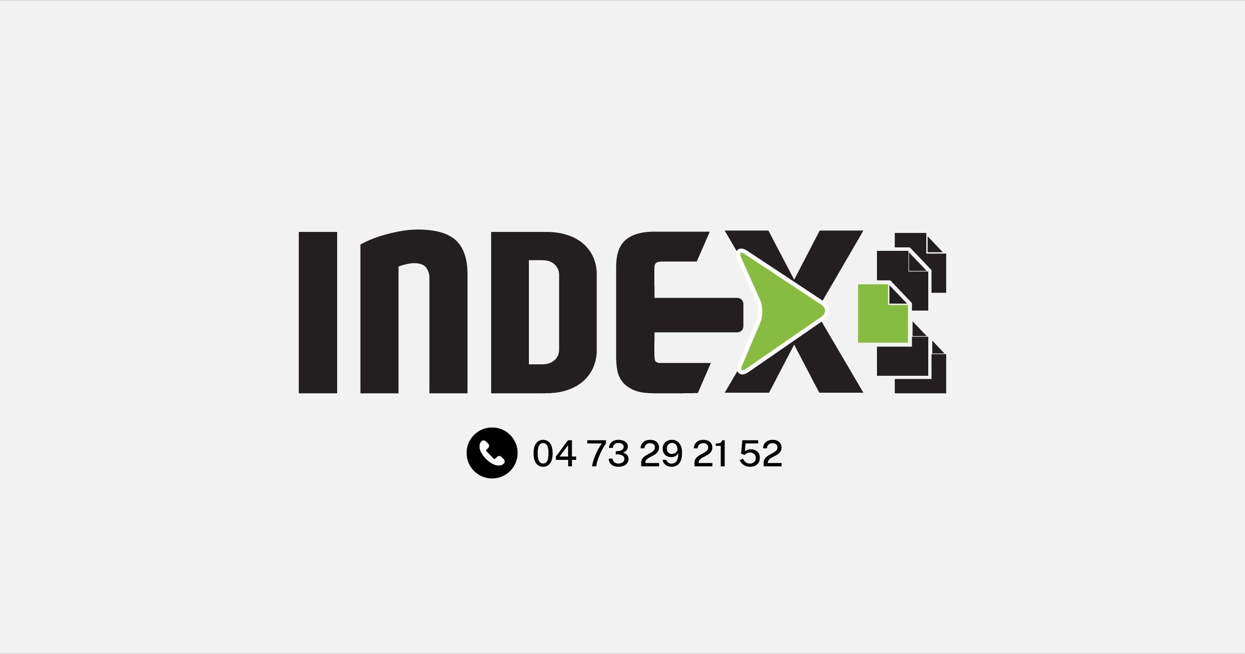 Logo Index-Info